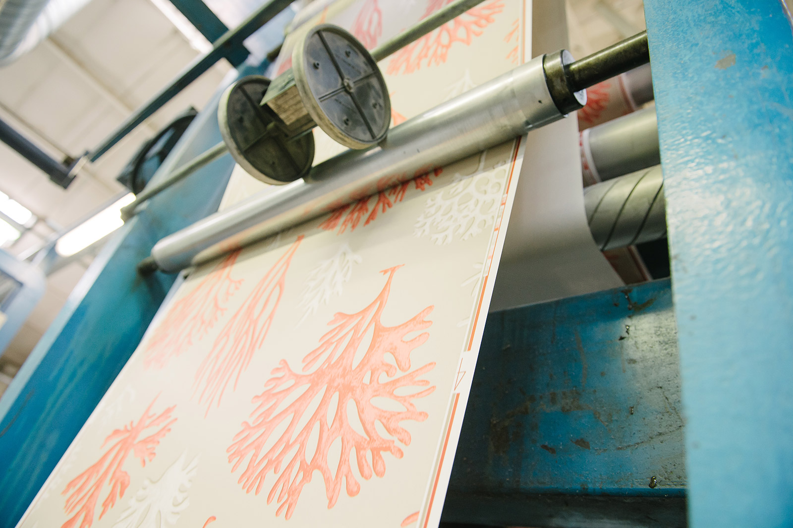 Flexographic Wallpaper Printing Surface Print